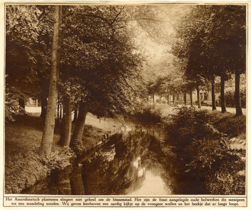 350625 Gezicht op de Westbuitensingel en Plantsoen-West te Amersfoort.